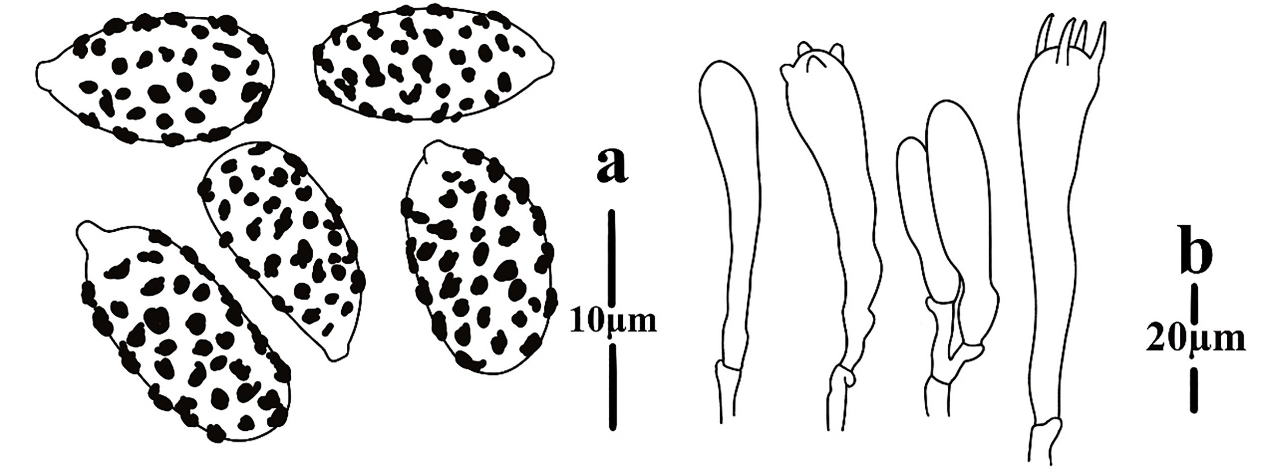 Figure 133
